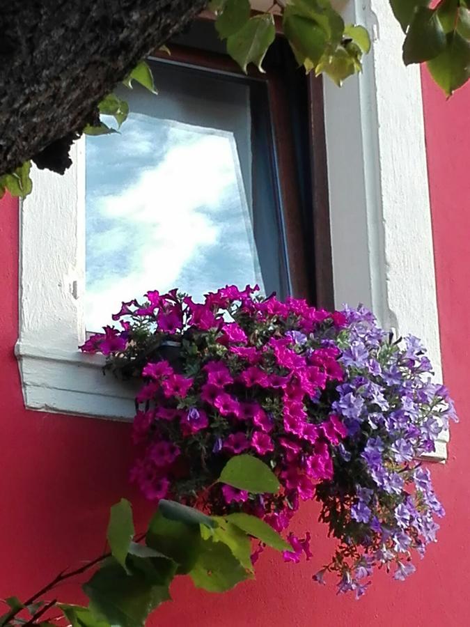 B&B Pontesello Колоньйола-ай-Коллі Екстер'єр фото