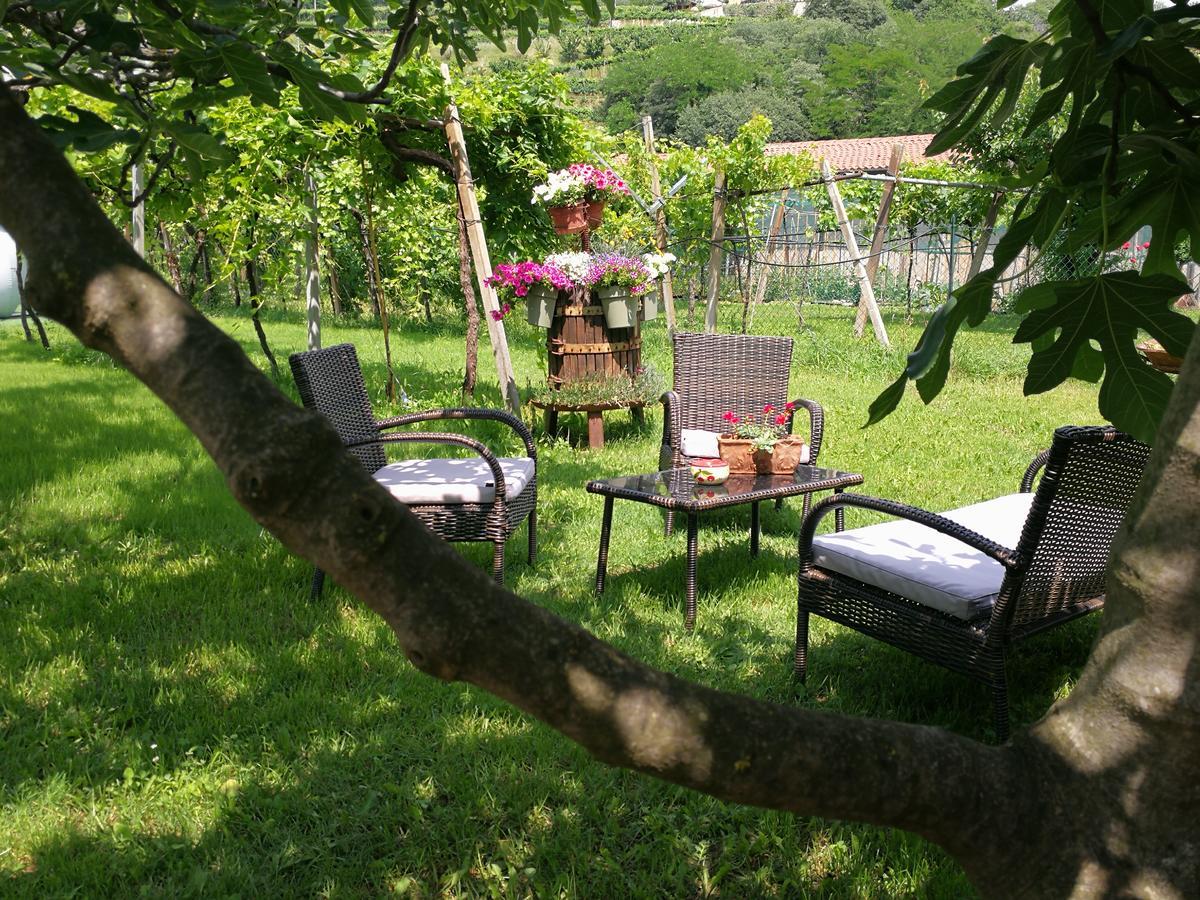 B&B Pontesello Колоньйола-ай-Коллі Екстер'єр фото
